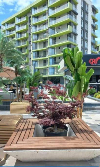 Alezzy Beach Apartament Prima Linie La Mare Năvodari Extérieur photo
